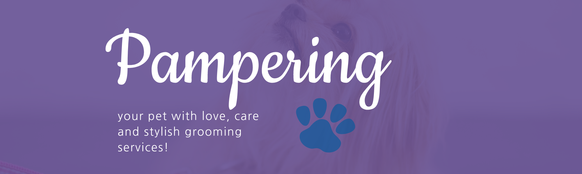 Pampering your pet!